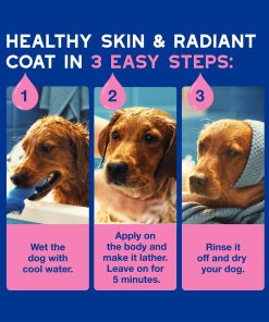 Dog grooming instructions with three steps on a blue background. Step 1 Wet the dog with cool water. Step 2: Apply on the body and make it lather. Leave on for 5 minutes. Step 3: Rinse it off and dry your dog.