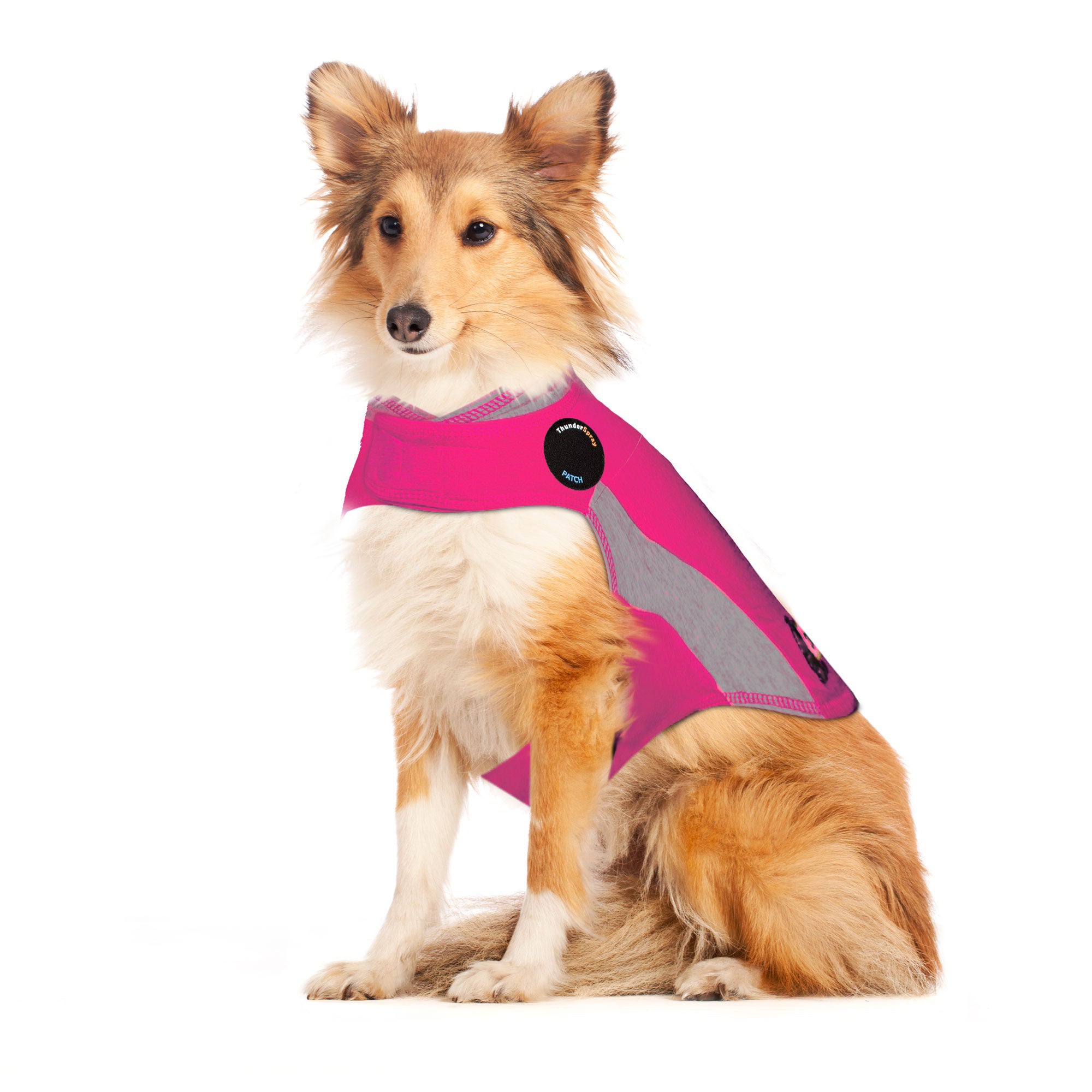 sm-image-1254bcafecd616787683382f ThunderShirt® for Dogs