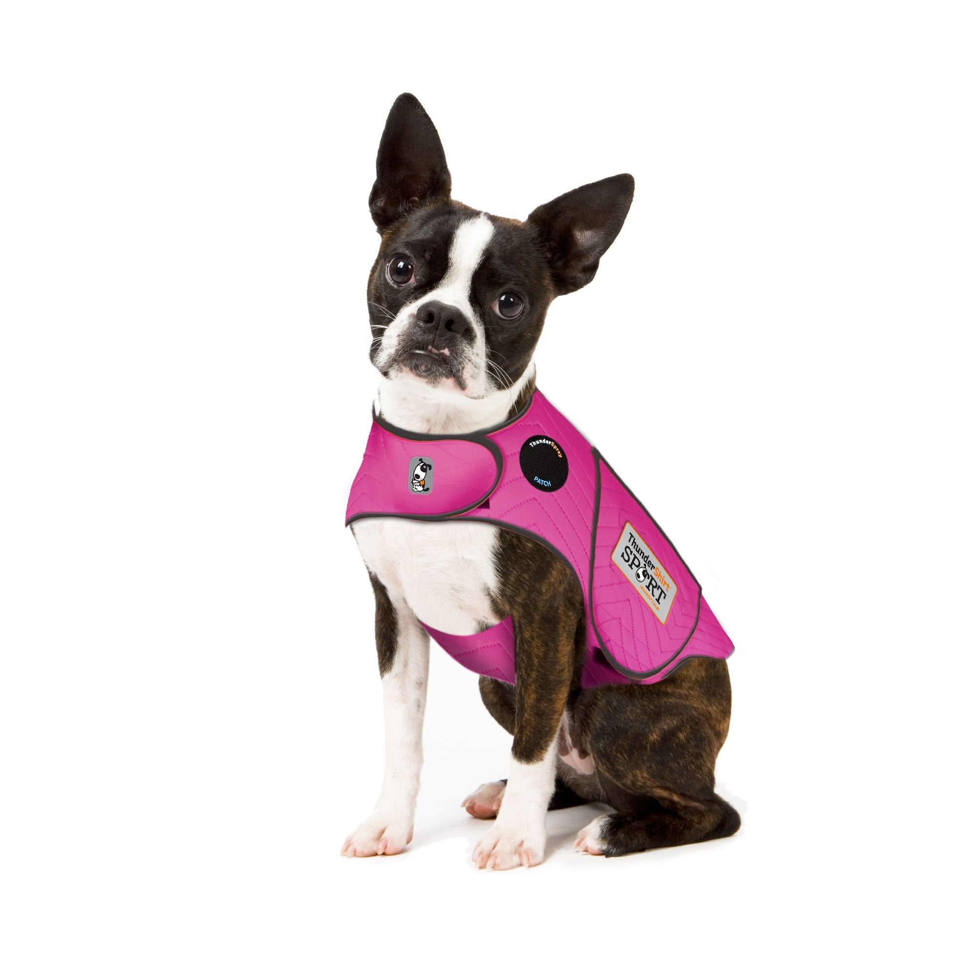 sm-image-18b1289f0eb2c0084d755b13 ThunderShirt® for Dogs