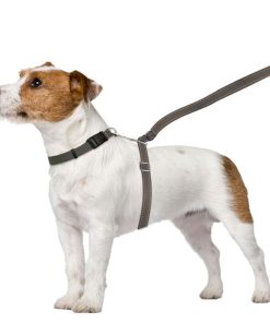 ThunderLeash®