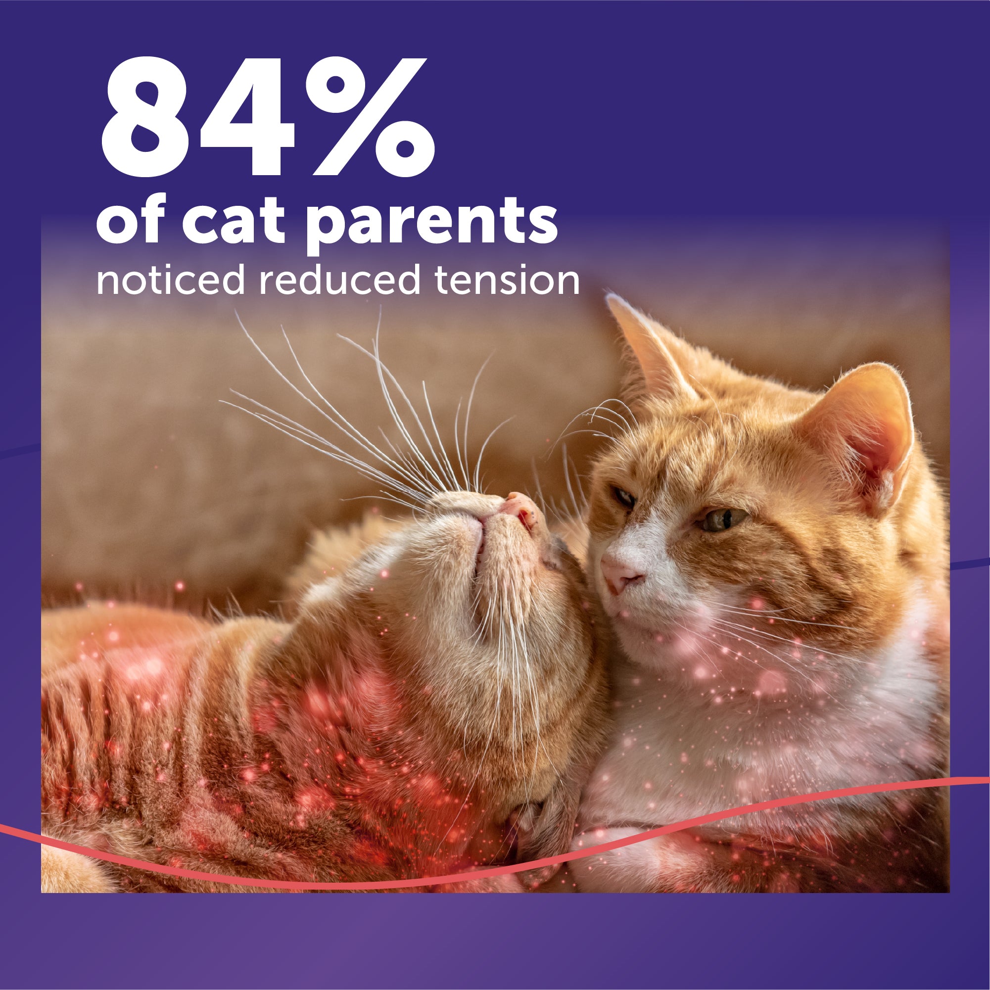 sm-image-1ba51ce658772f5a75f662ce FELIWAY® MultiCat Refill