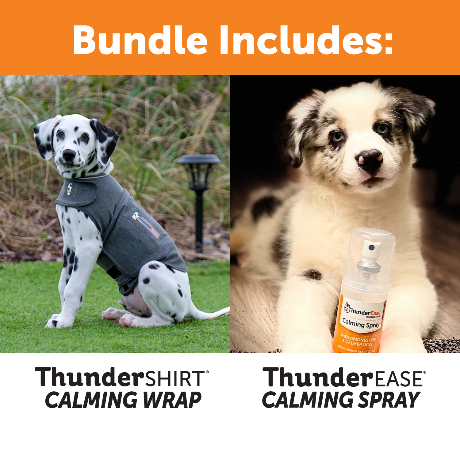 sm-image-2160fb0862e325b4a4a14e35 Calm Anywhere Bundle