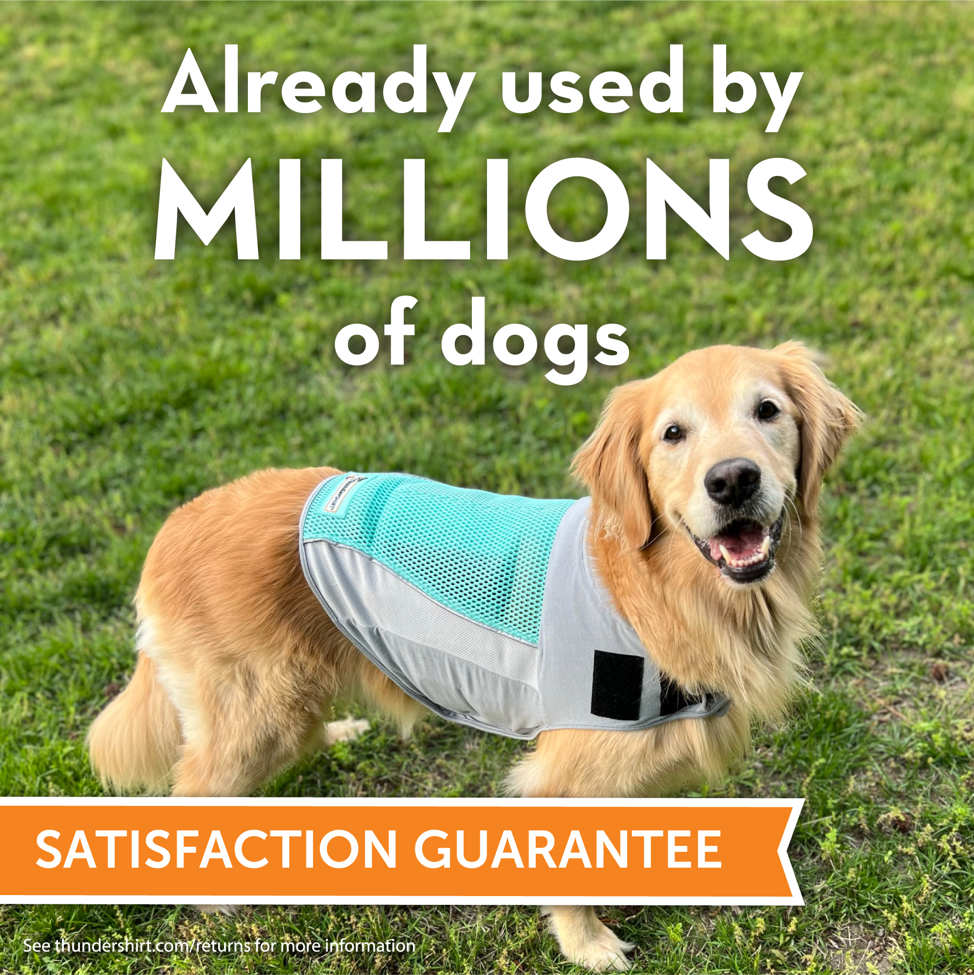 sm-image-21c572fd25cebe5aba796b66 ThunderShirt® Breeze for Dogs