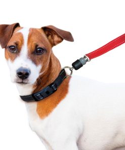ThunderSnap Quick-Connect Leash for Dogs