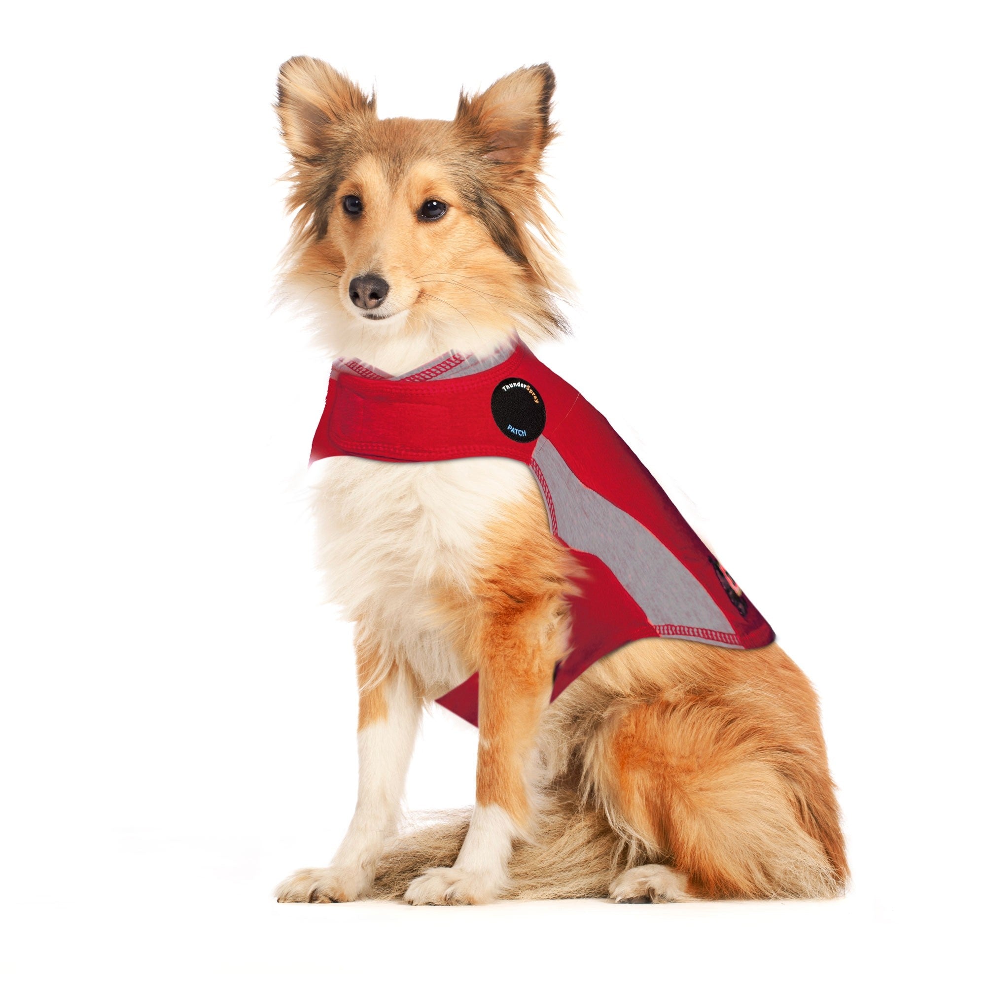 sm-image-292279cc24a2c87224d34948 ThunderShirt® for Dogs
