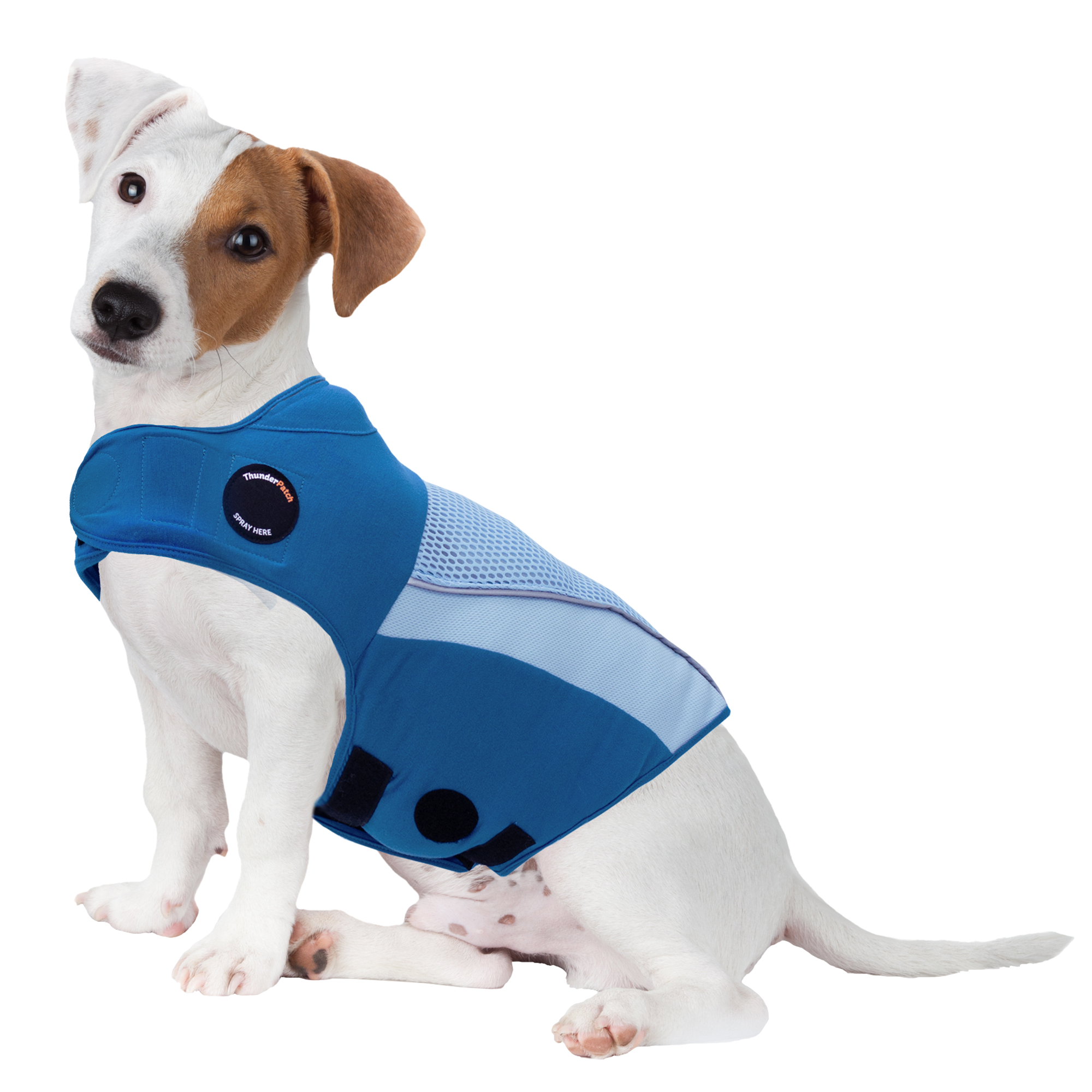 sm-image-294daaad7e10c7d5c945088d ThunderShirt® Breeze for Dogs