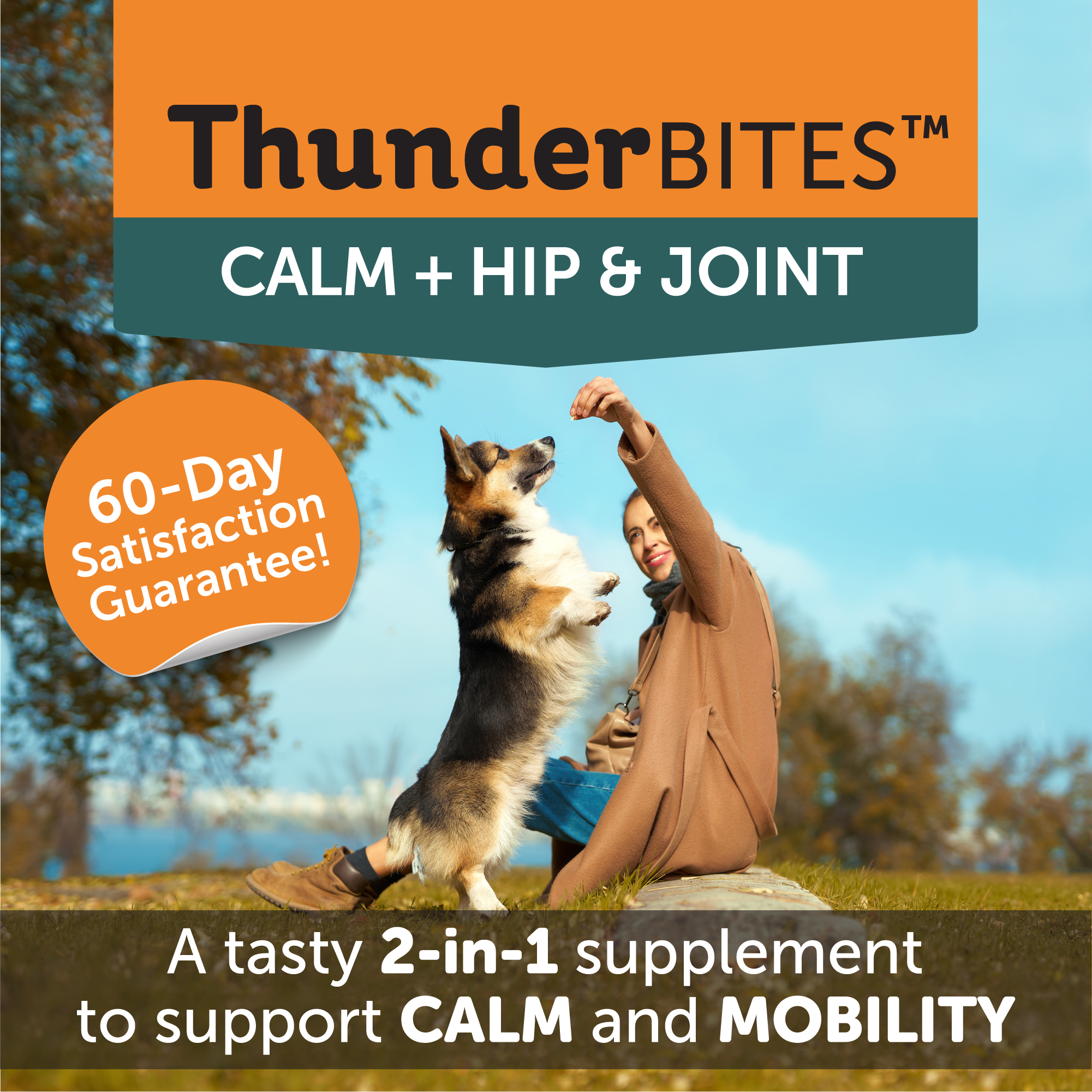 sm-image-35c70bb80db790366c94d30b ThunderBites® Calm + Hip & Joint Daily Soft Chews for Dogs