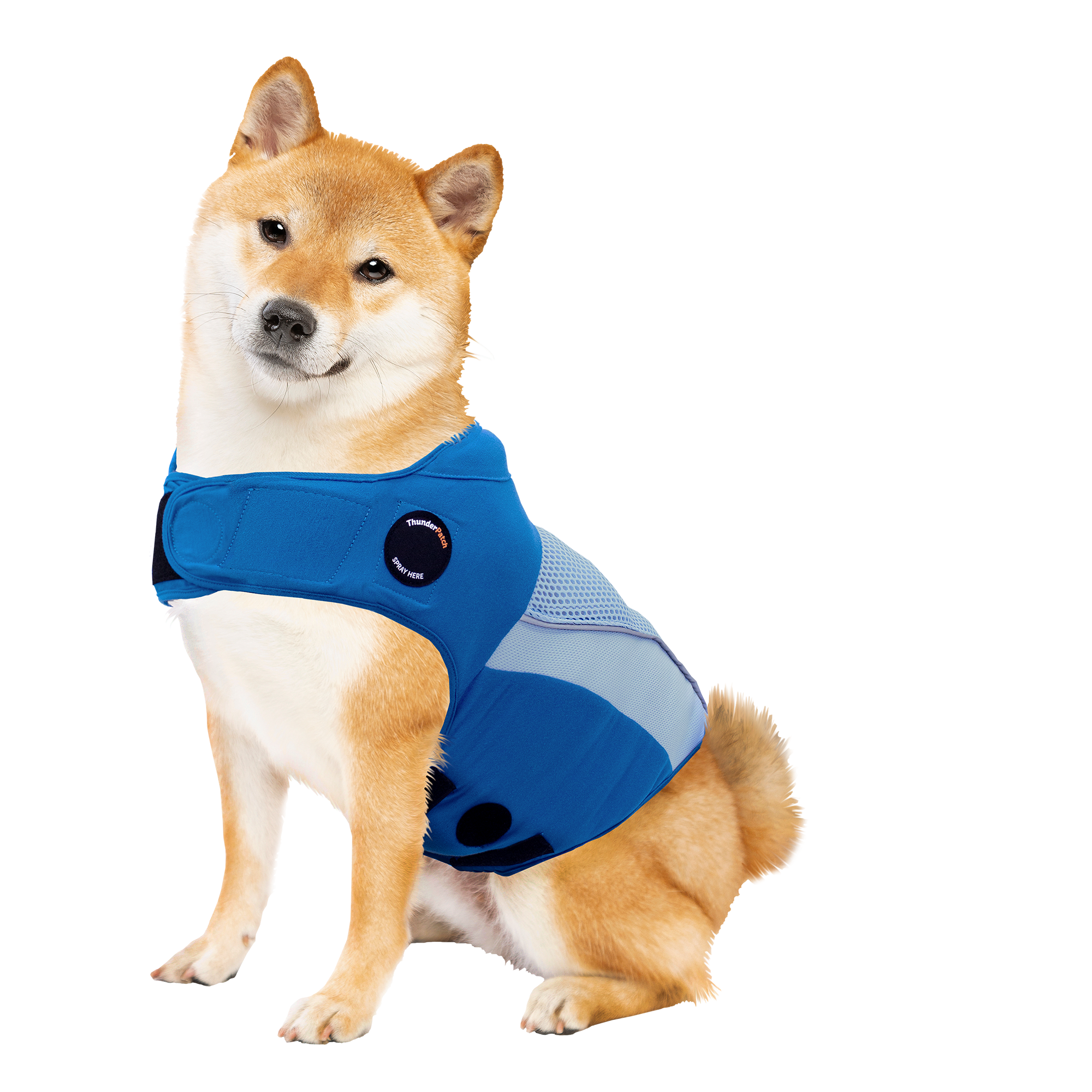 sm-image-3a9c125923055cc78fc8f738 ThunderShirt® Breeze for Dogs