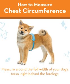 ThunderShirt® for Dogs