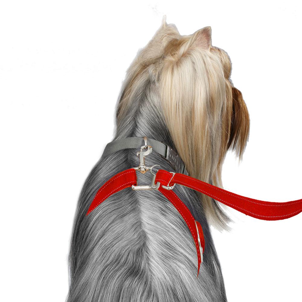 sm-image-469183440adc7b493e0aaa7e ThunderLeash®