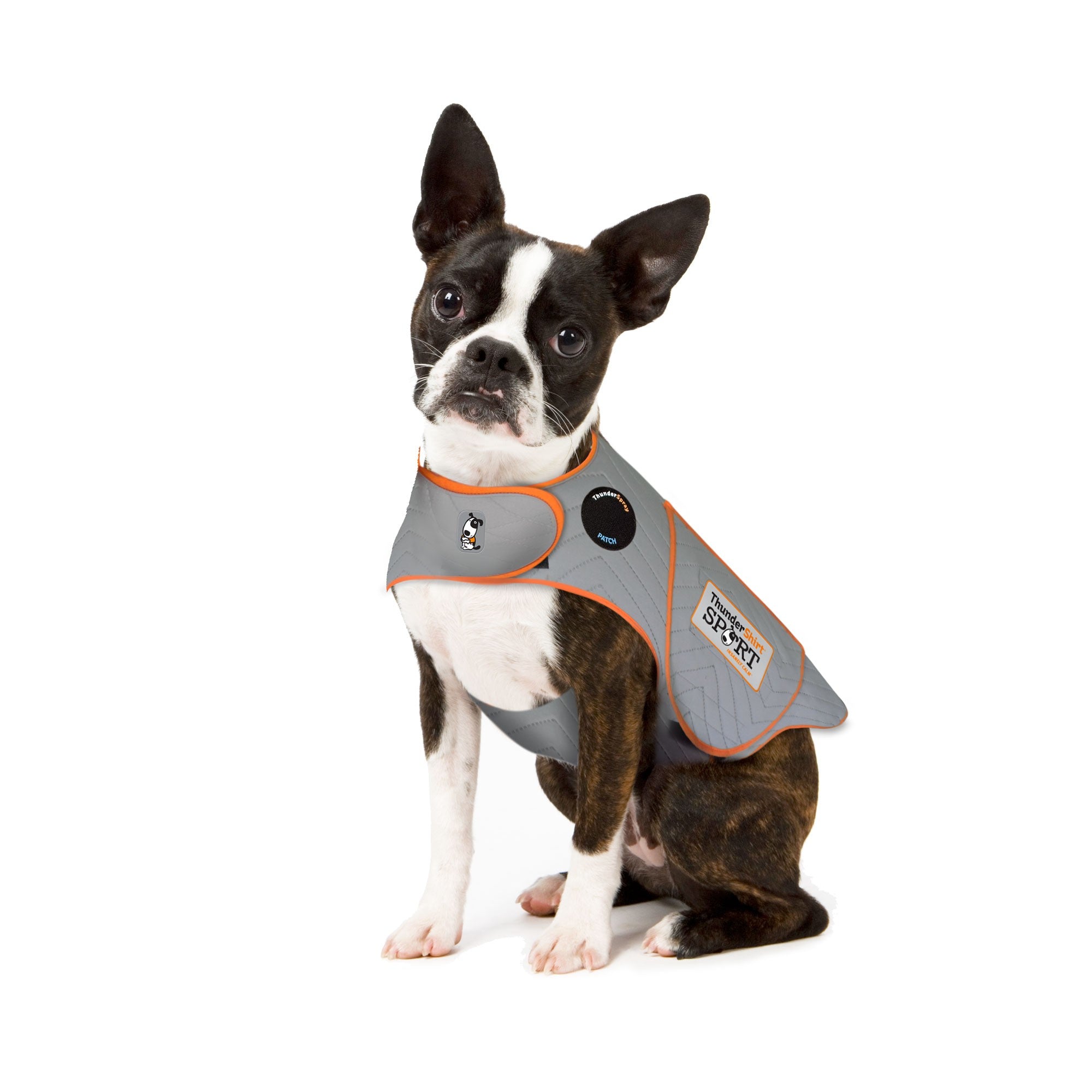 sm-image-4a5b2fce8fcf9ee46dddf86c ThunderShirt® for Dogs