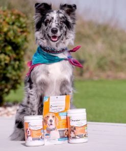 ThunderBites® for Dogs - Calming Chews