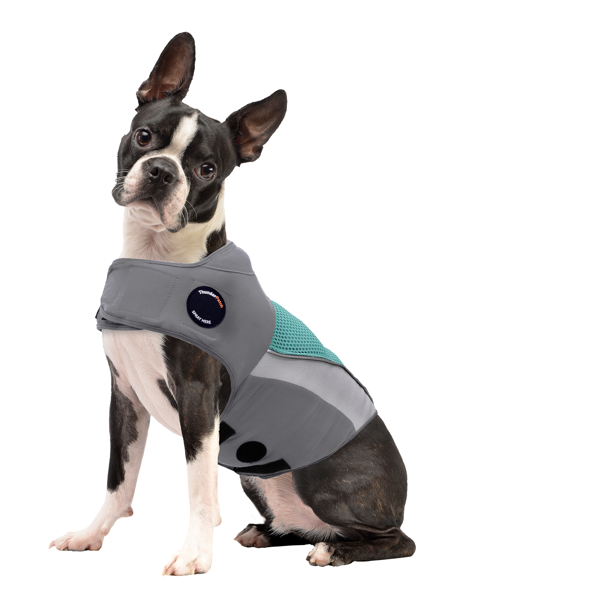 sm-image-535fab57c91a4b687c28f98e ThunderShirt® Breeze for Dogs