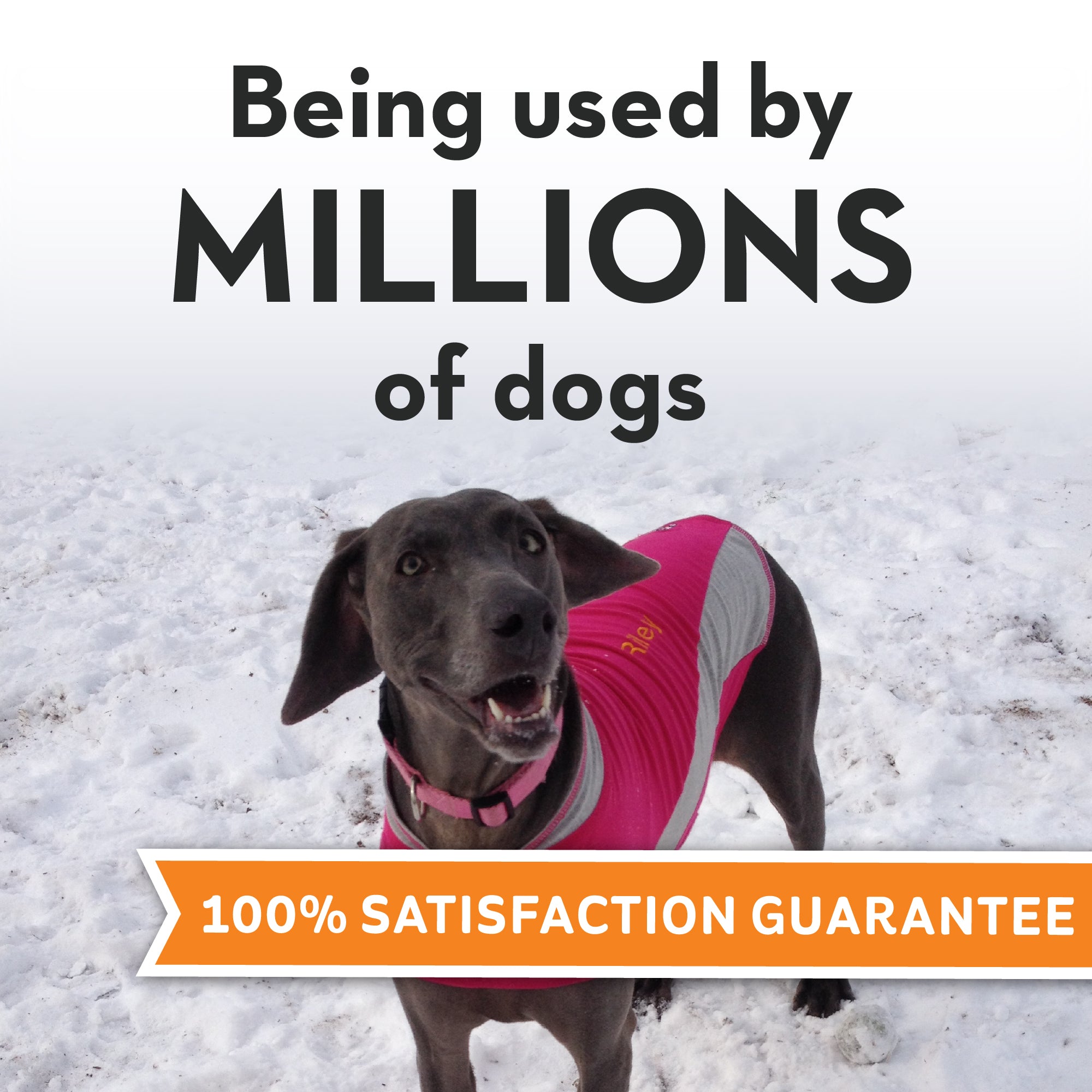 sm-image-545c9fc834e4d44de0cc0676 ThunderShirt® for Dogs
