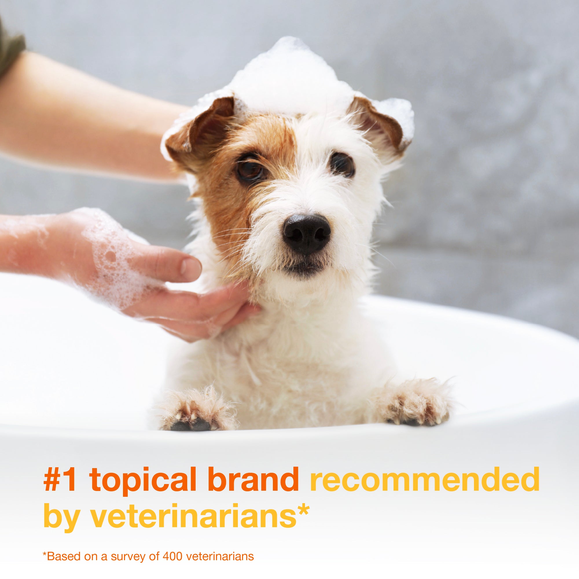 sm-image-59954f0f4a96a38af5e4f97f DOUXO® S3 PYO Shampoo