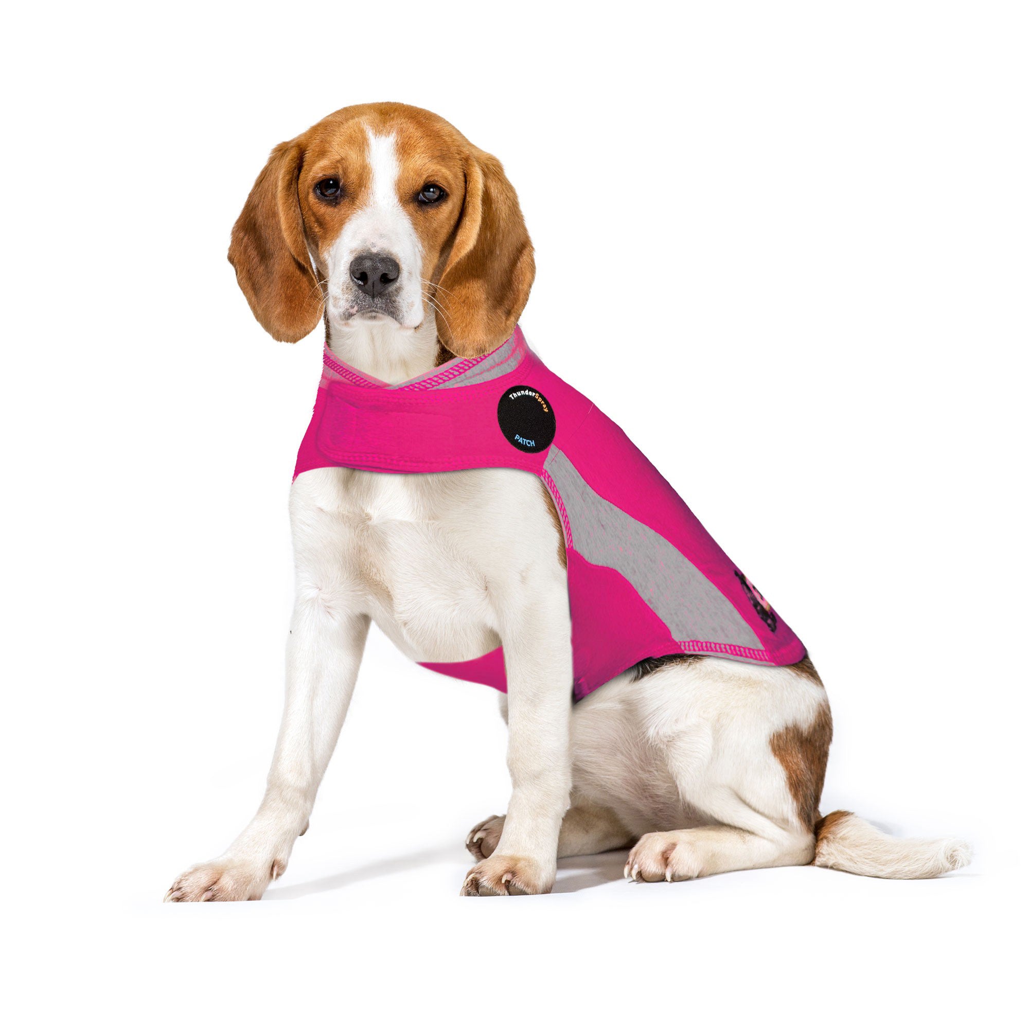 sm-image-599c63d6c0512782726fc632 ThunderShirt® for Dogs