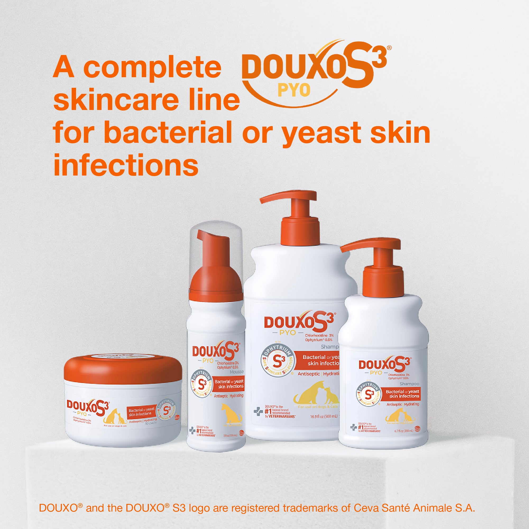 sm-image-686991a39fce31d409aef238 DOUXO® S3 PYO Shampoo