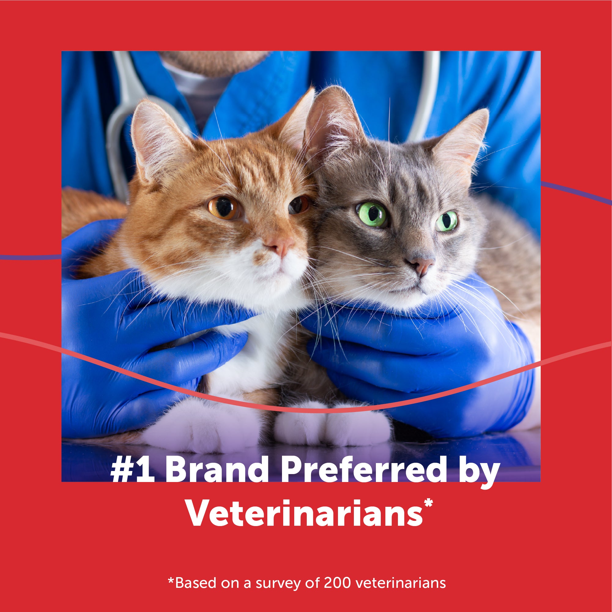 sm-image-6f0907a2c236b24049981443 FELIWAY® MultiCat Refill
