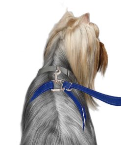 ThunderLeash®