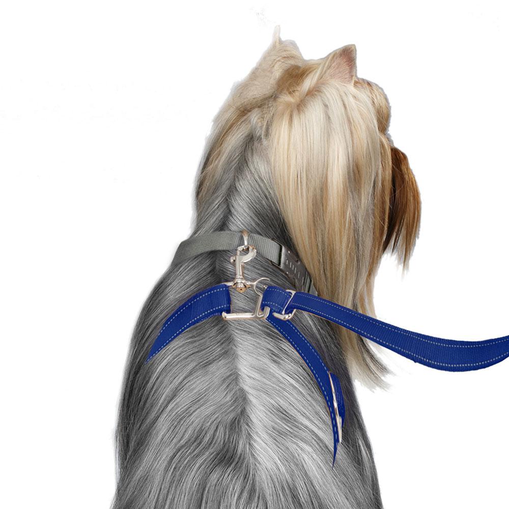 sm-image-73ff2220b1e6d413bc849095 ThunderLeash®