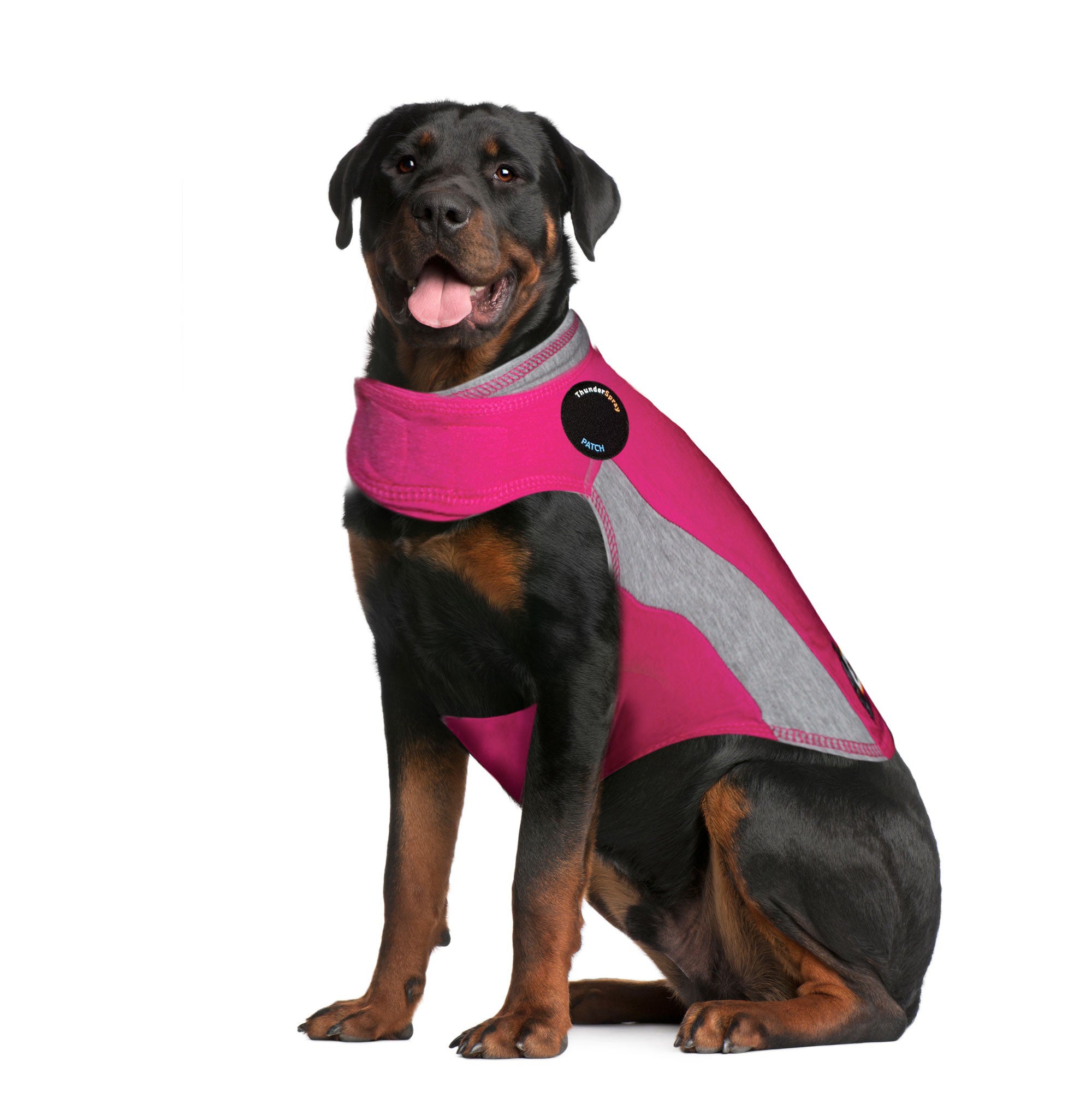 sm-image-749947e4a04368fdaab7fd96 ThunderShirt® for Dogs