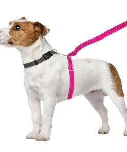 ThunderLeash®