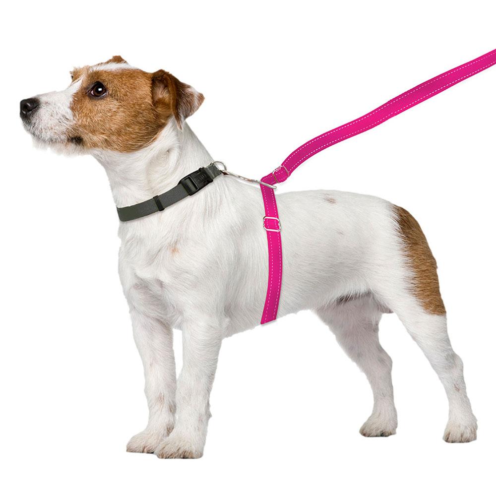 sm-image-75ddc8c0646f151aae3a0473 ThunderLeash®