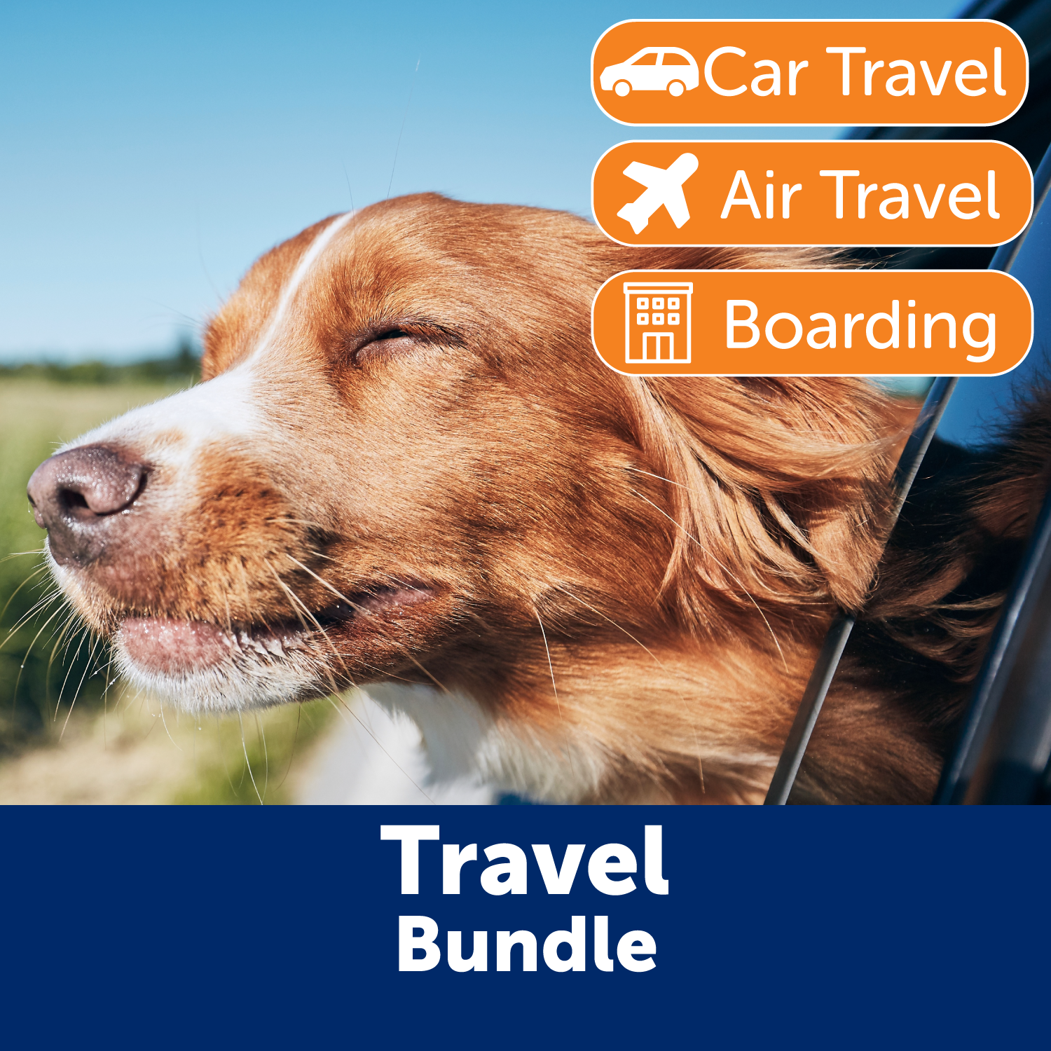 sm-image-791f236dae8d5380085f6e27 Dog Travel Calming Bundle