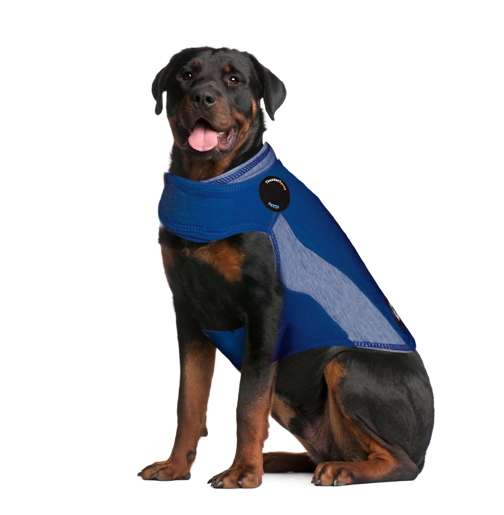 sm-image-7e85ae86cdda6e678927f046 ThunderShirt® for Dogs