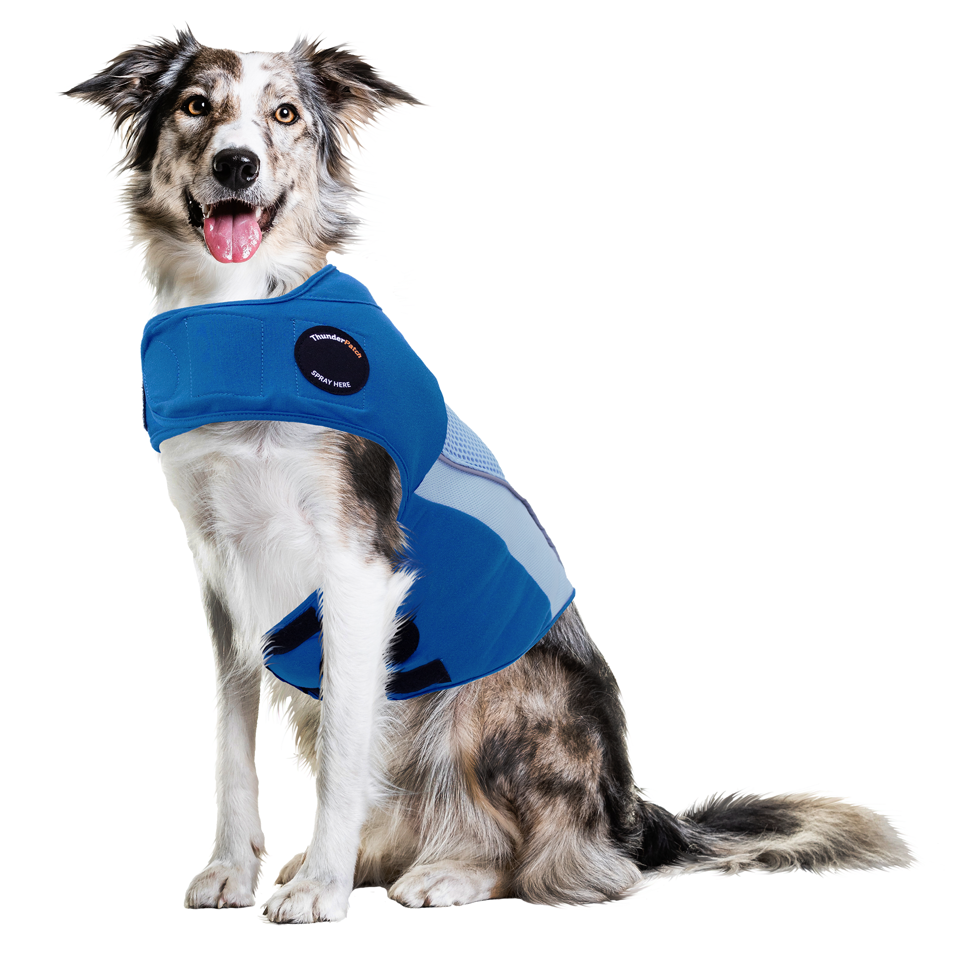 sm-image-80b3c4c872a98ca08337c42b ThunderShirt® Breeze for Dogs