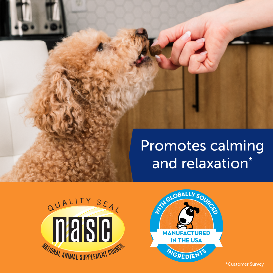 sm-image-83f545cb56a016f61785684c ThunderBites® for Dogs - Hemp Calming Chews