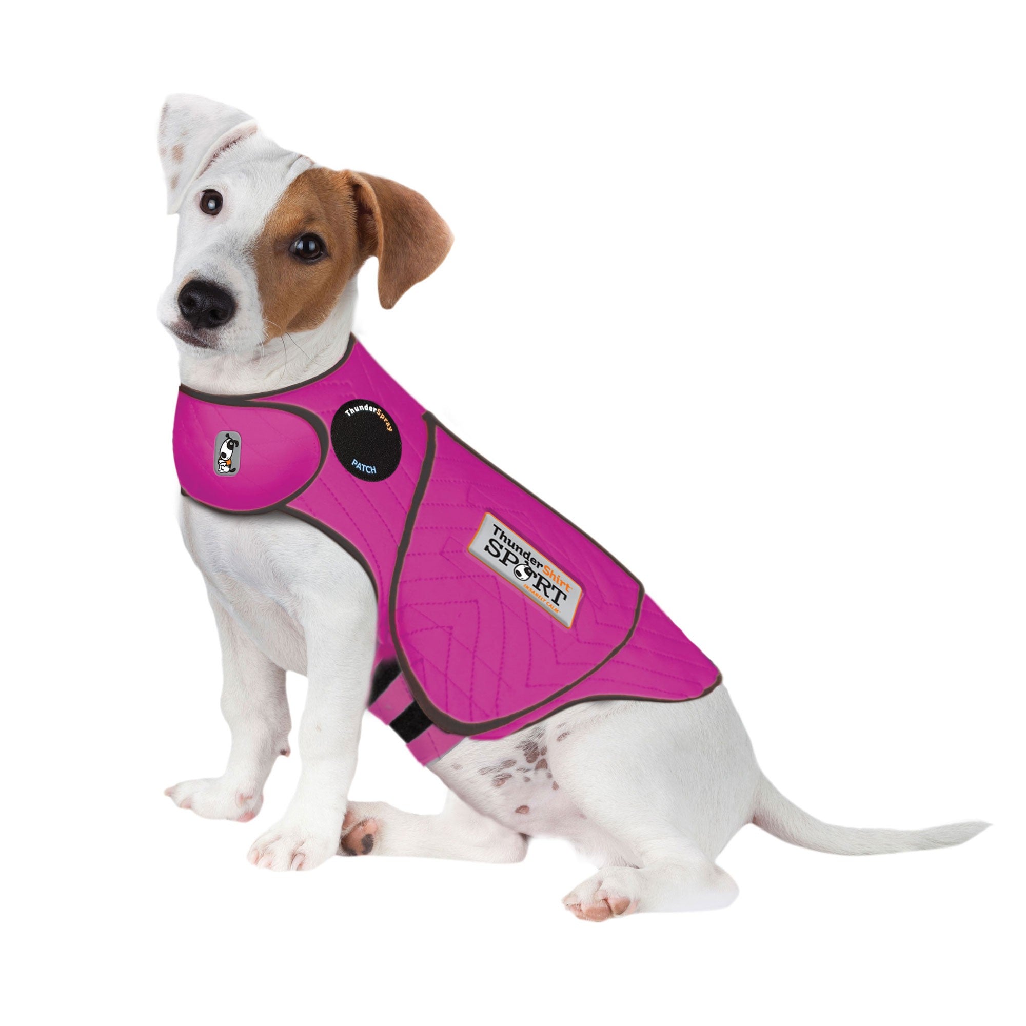 sm-image-9781993c25a4fee64cbbd808 ThunderShirt® for Dogs