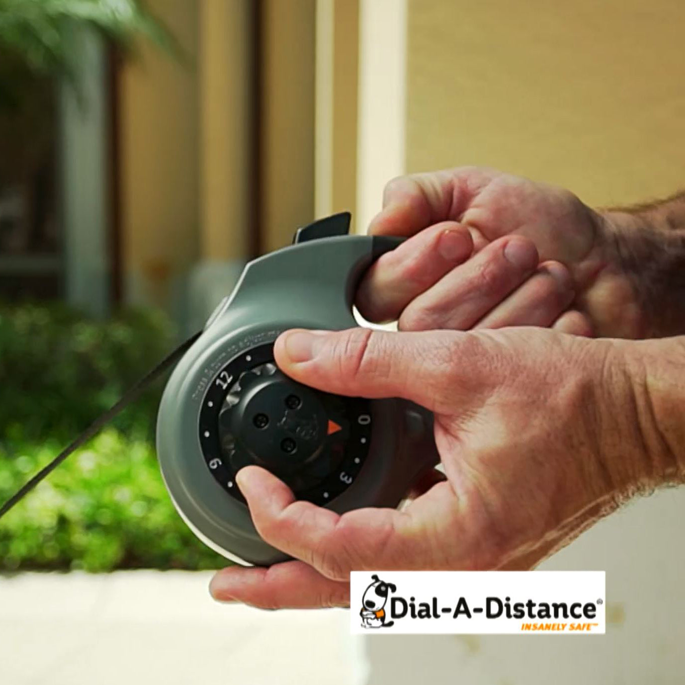 sm-image-97afe77d5937c2a1a6450a8a Dial-A-Distance Retractable Leash