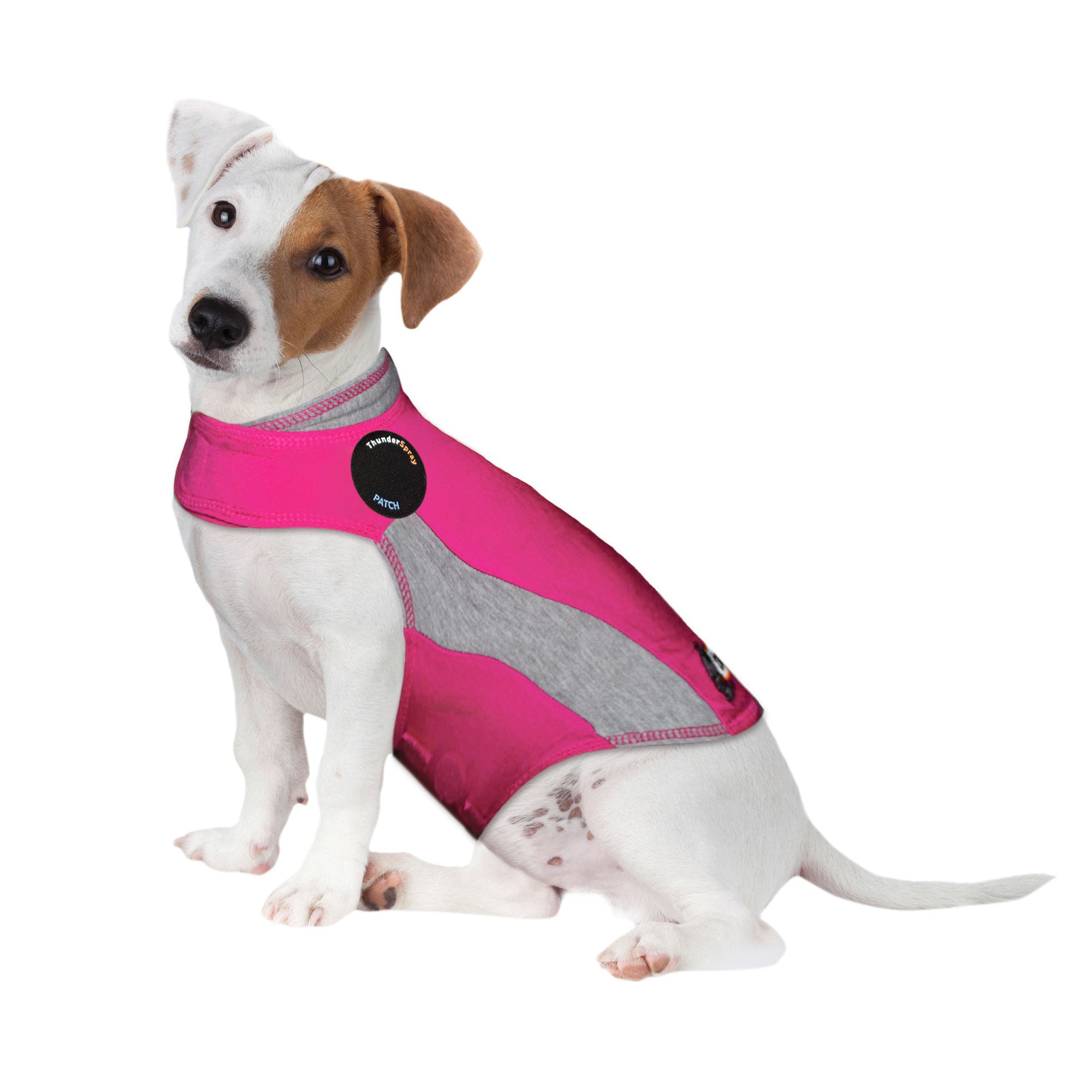 sm-image-a0ba5578b74b16143e3f01ed ThunderShirt® for Dogs