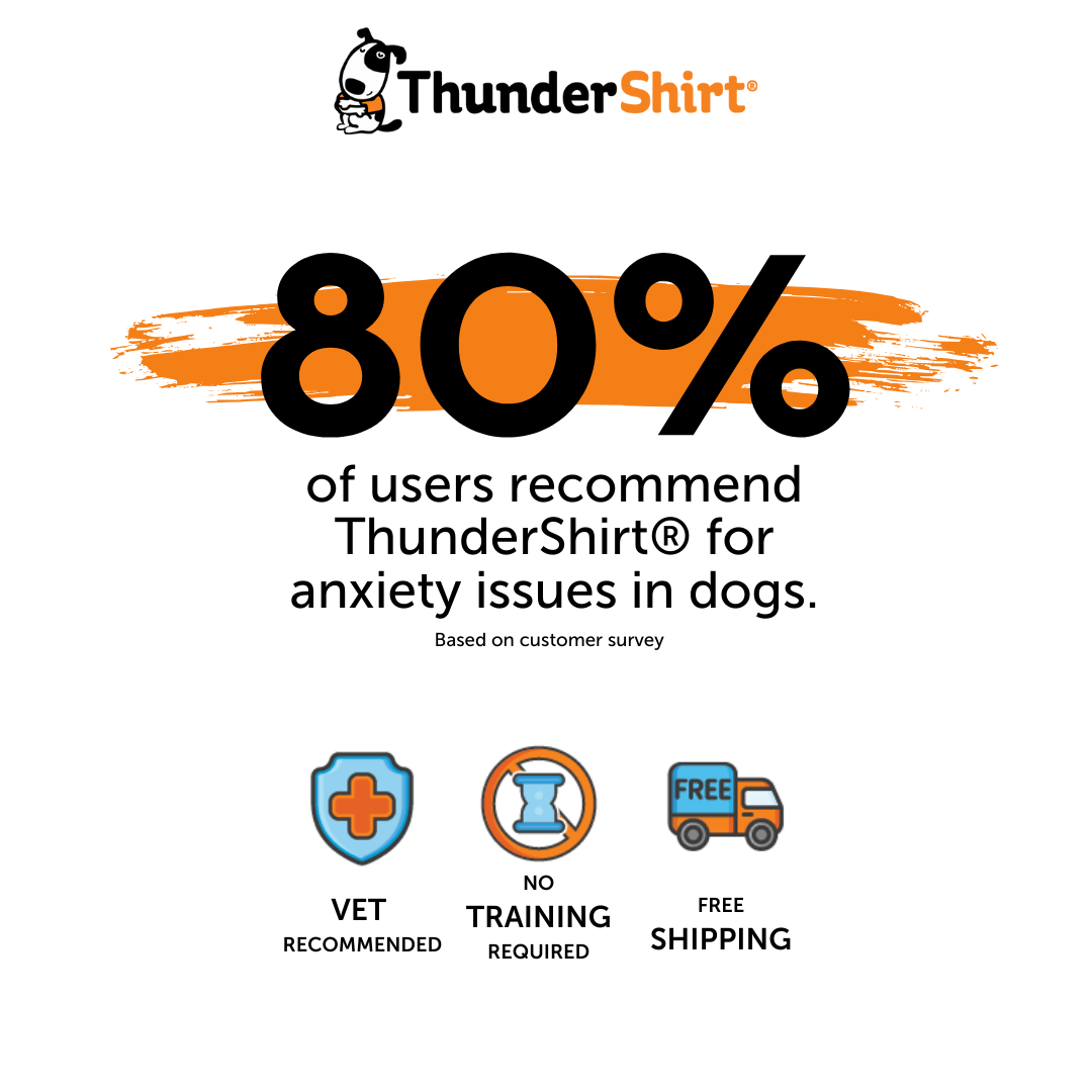 sm-image-a90125497d611a008676b00e ThunderShirt® for Dogs