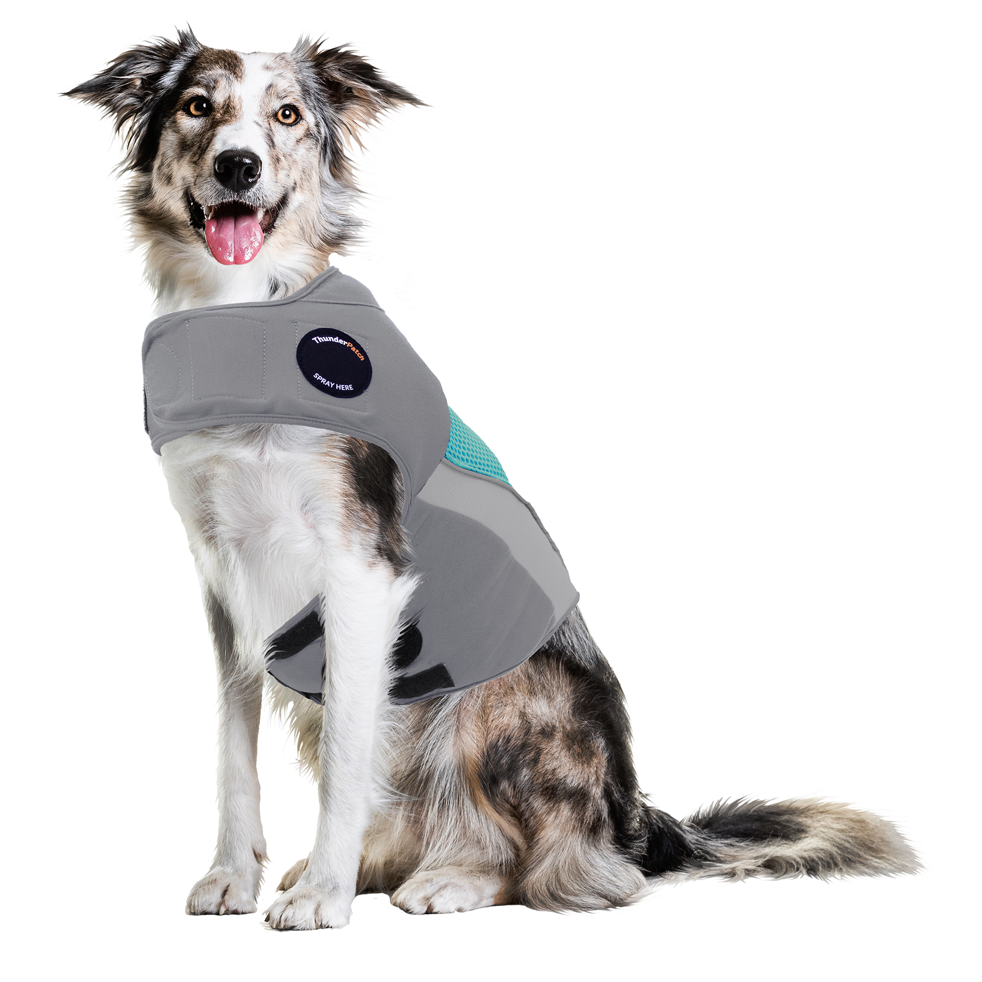 sm-image-adfee99ee8dafcb242c1d28c ThunderShirt® Breeze for Dogs