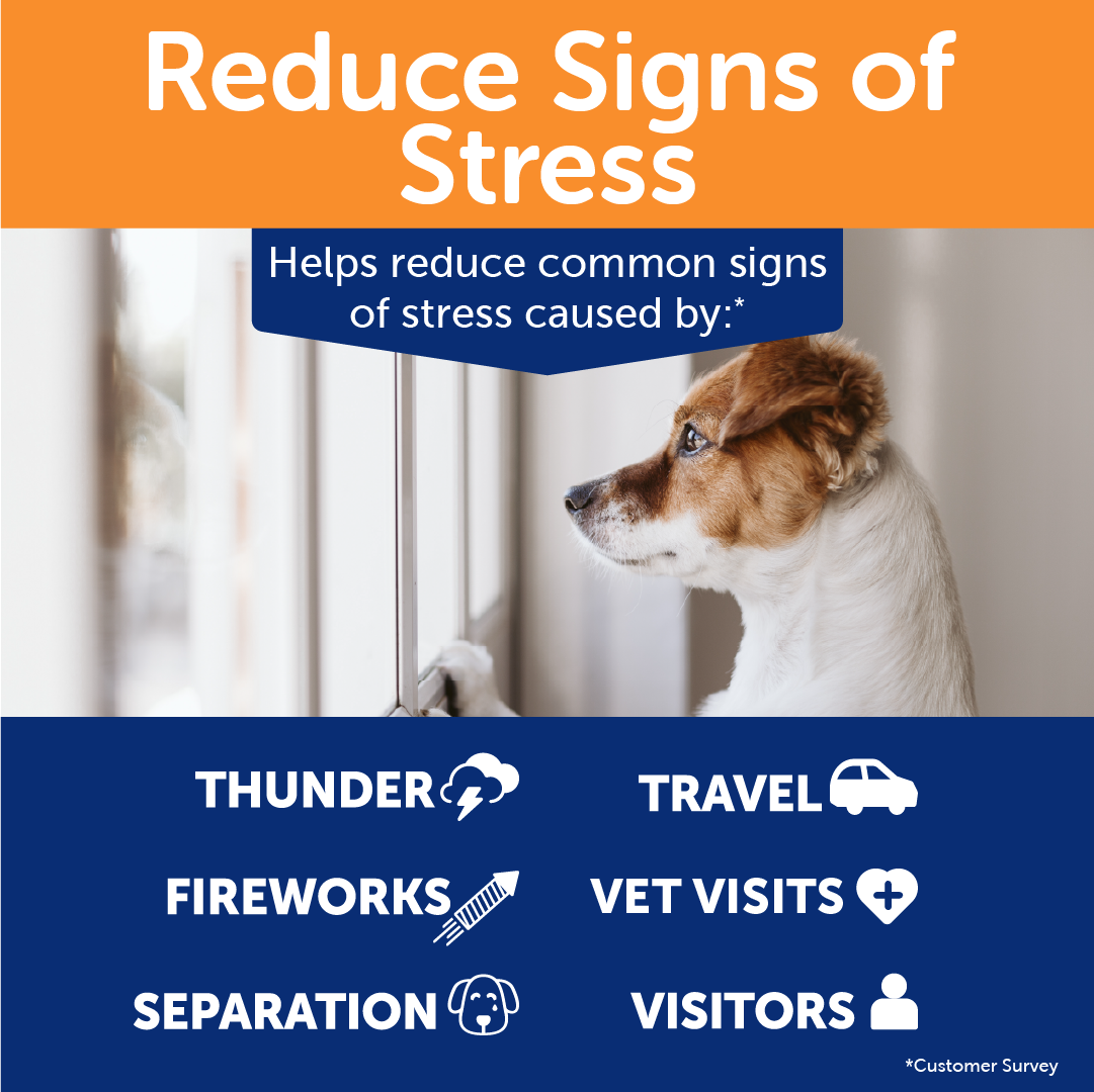 sm-image-b2976e2ce8cd180511f3b4d6 ThunderBites® for Dogs - Calming Chews