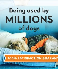 ThunderShirt® for Dogs