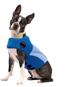 ThunderShirt® Breeze for Dogs