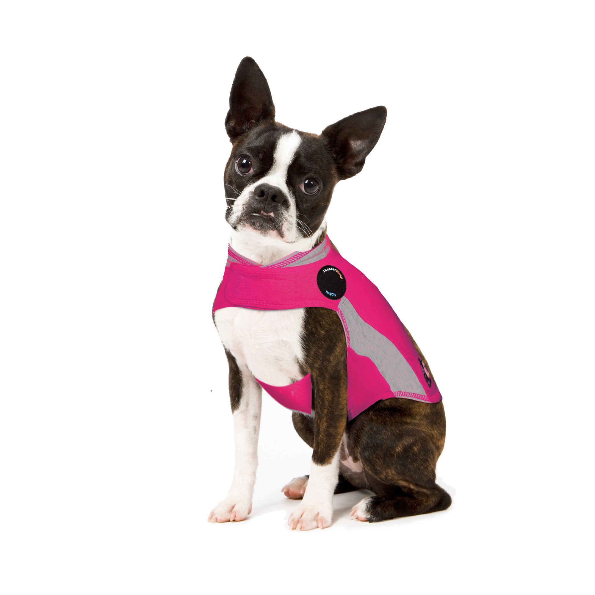 sm-image-c24947940e723393939cf990 ThunderShirt® for Dogs