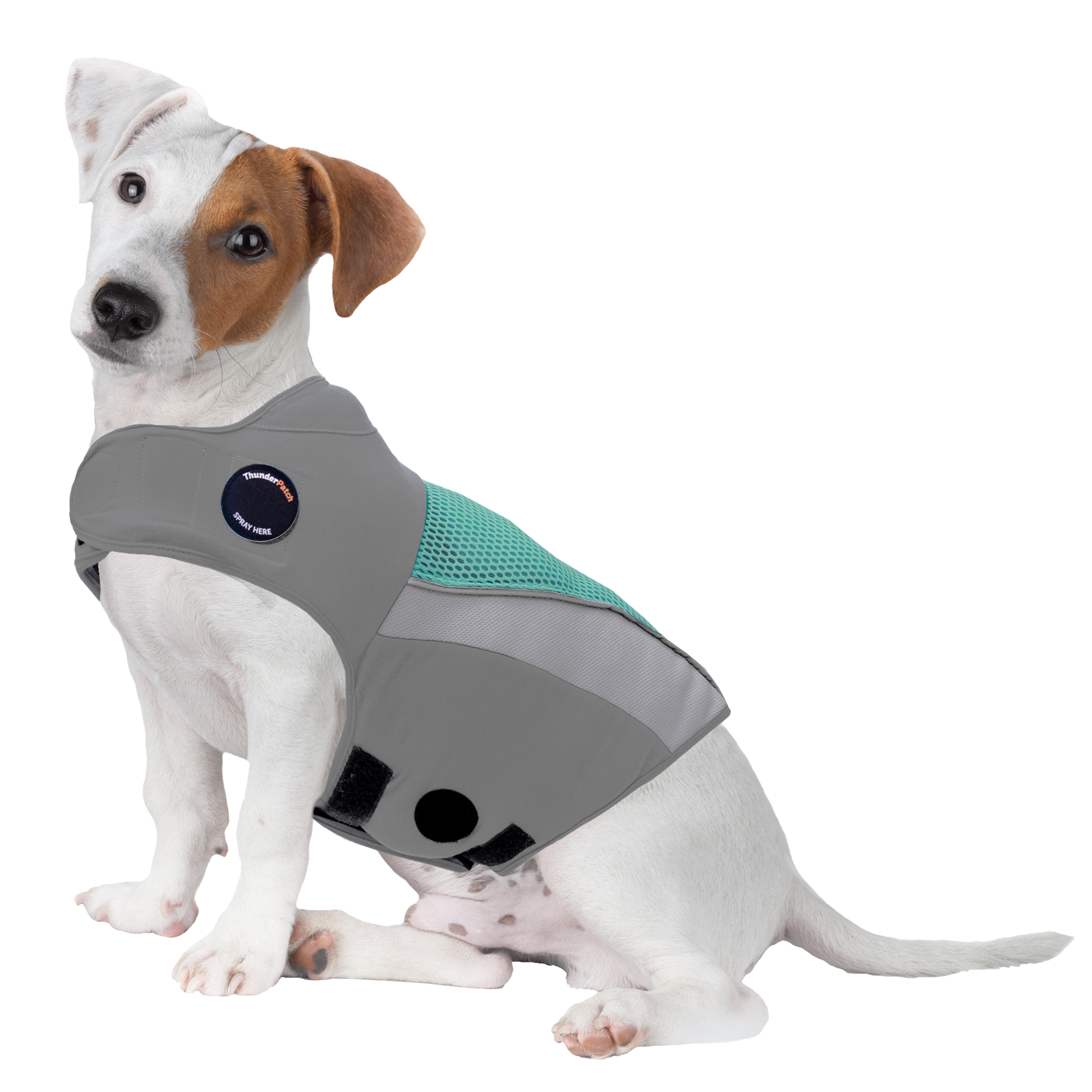 sm-image-c872f2134e48c2c45eaccd3e ThunderShirt® Breeze for Dogs