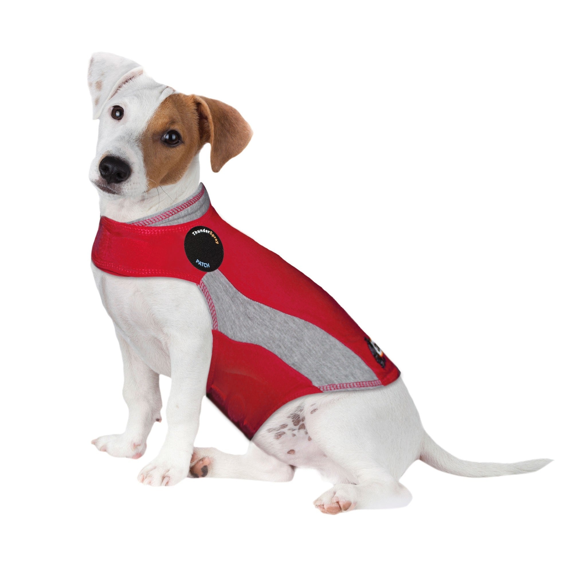 sm-image-c889125288fea9303ffbb38a ThunderShirt® for Dogs