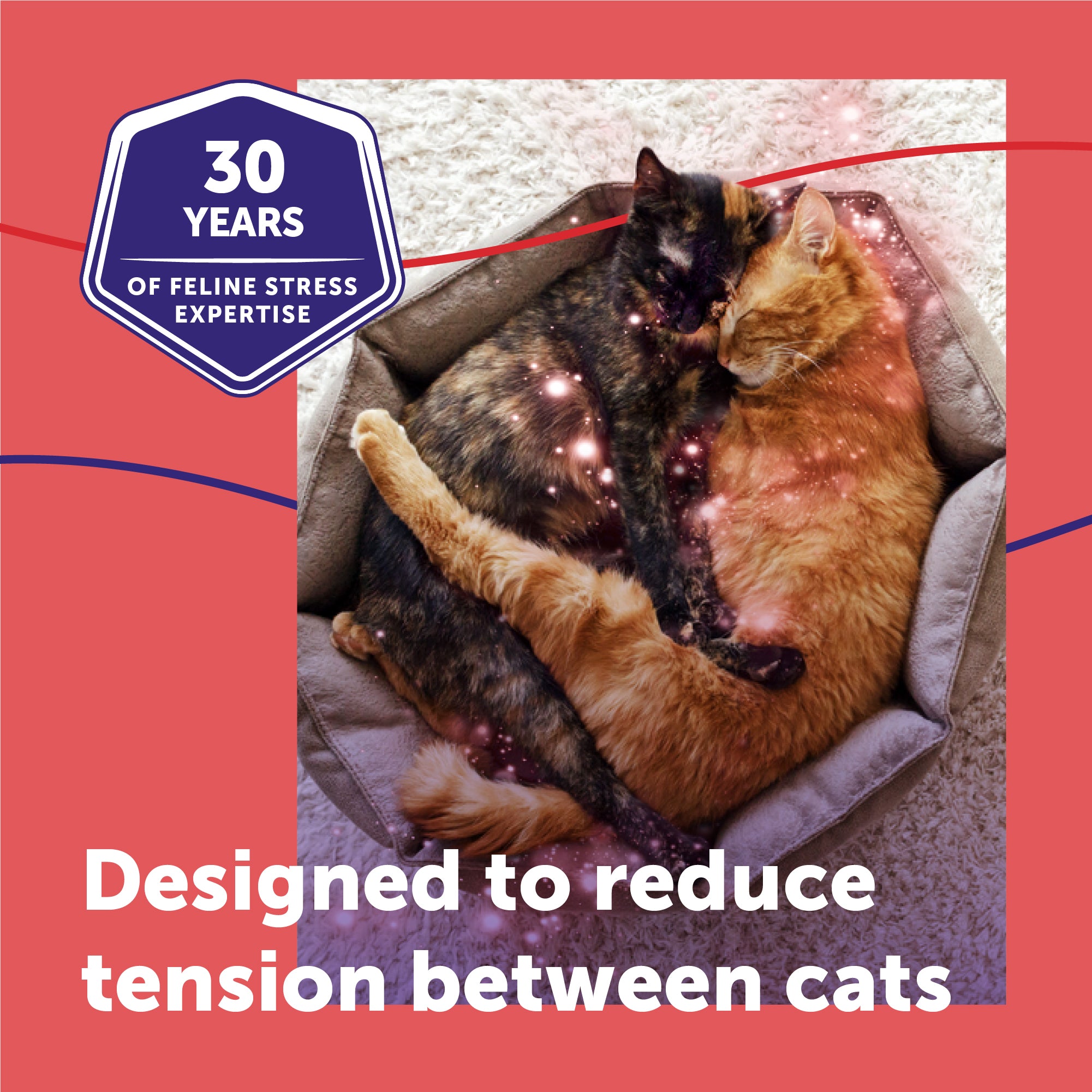 sm-image-cb6f74c29a55707a74aece2c FELIWAY® MultiCat Refill