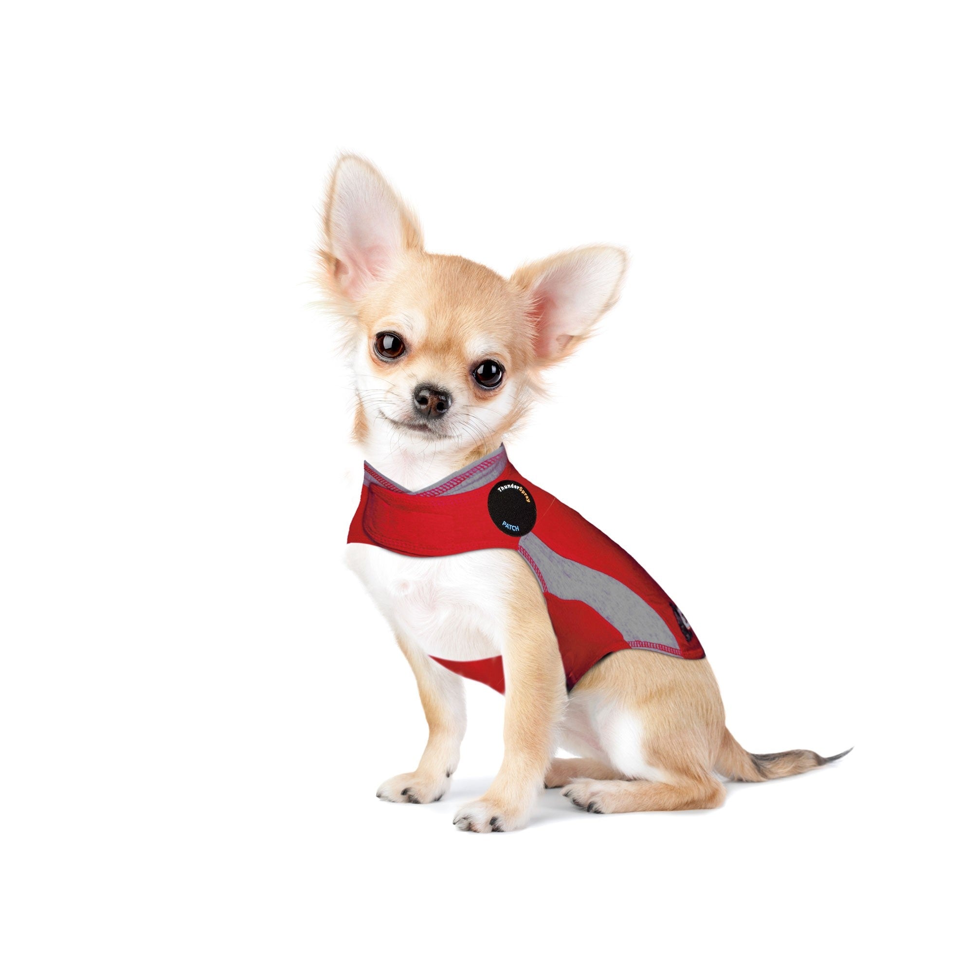 sm-image-e16803b67a85e8a7ae72be43 ThunderShirt® for Dogs