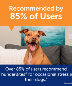 ThunderBites® for Dogs - Hemp Calming Chews
