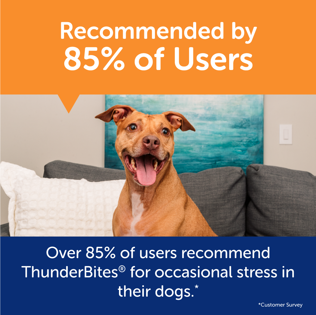 sm-image-e7c8931b9252b23c73dd3860 ThunderBites® for Dogs - Hemp Calming Chews