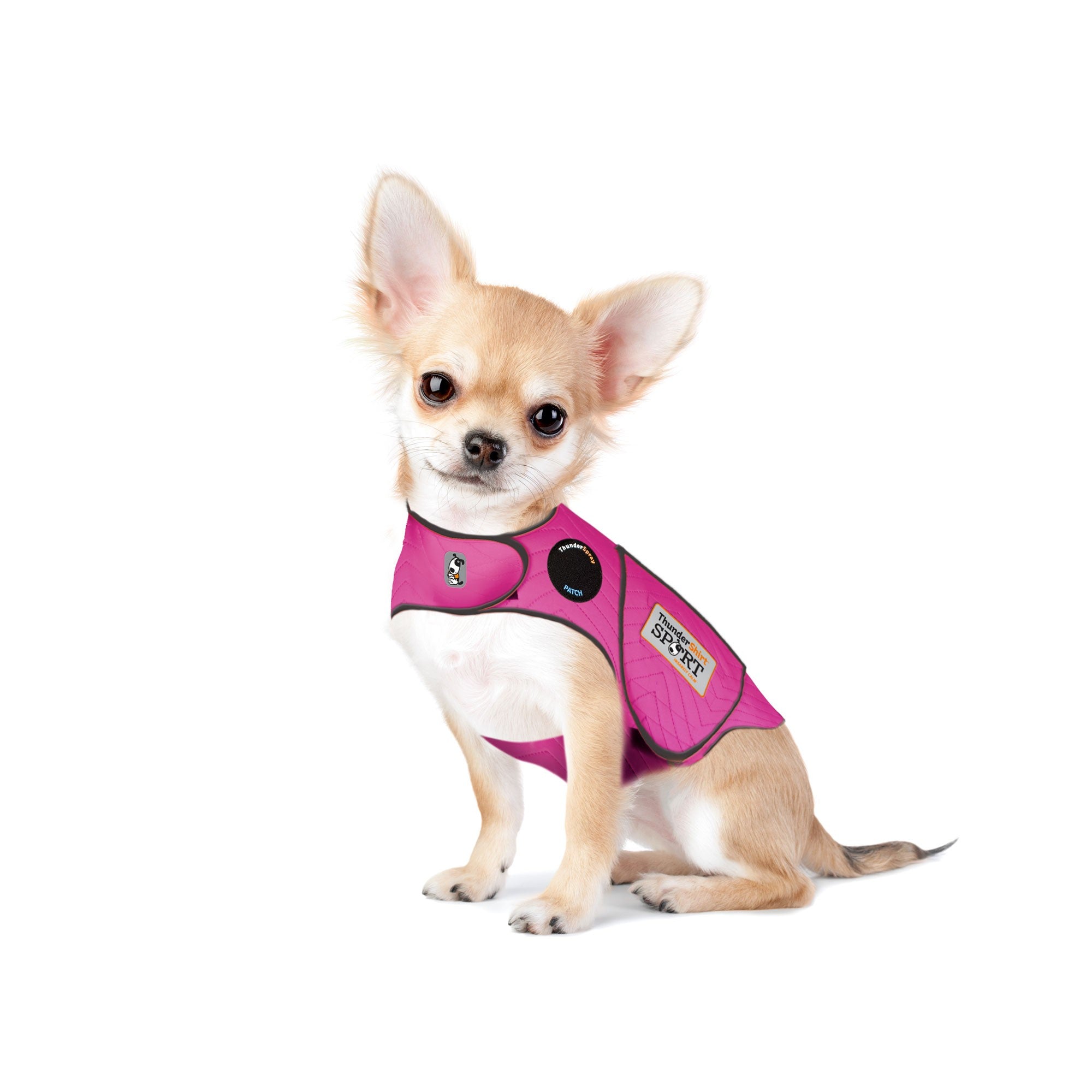 sm-image-e996d5b8274e9813336c7a1a ThunderShirt® for Dogs