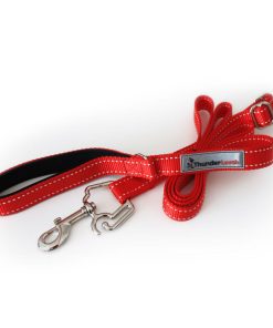 ThunderLeash®