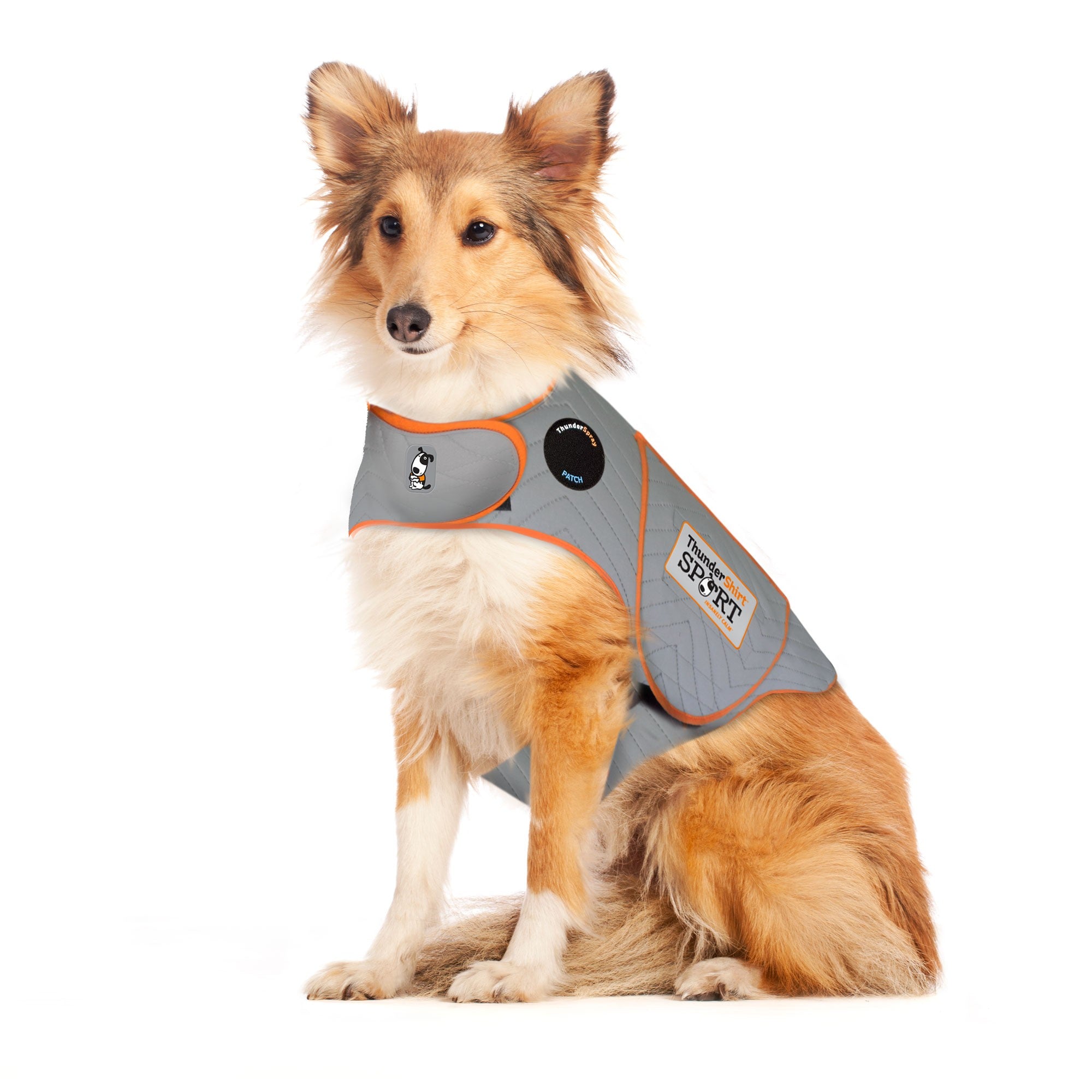 sm-image-eeb2ffe2e62bacb43b1acd19 ThunderShirt® for Dogs
