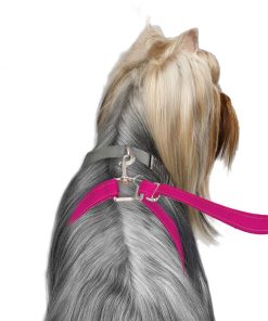 ThunderLeash®
